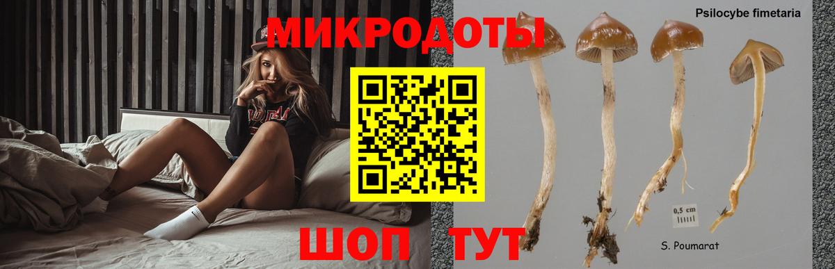 Галлюциногенные грибы Magic Shrooms  Вход с VPN  Псилоцибиновые грибы GOLDEN TEACHER  Россия 
